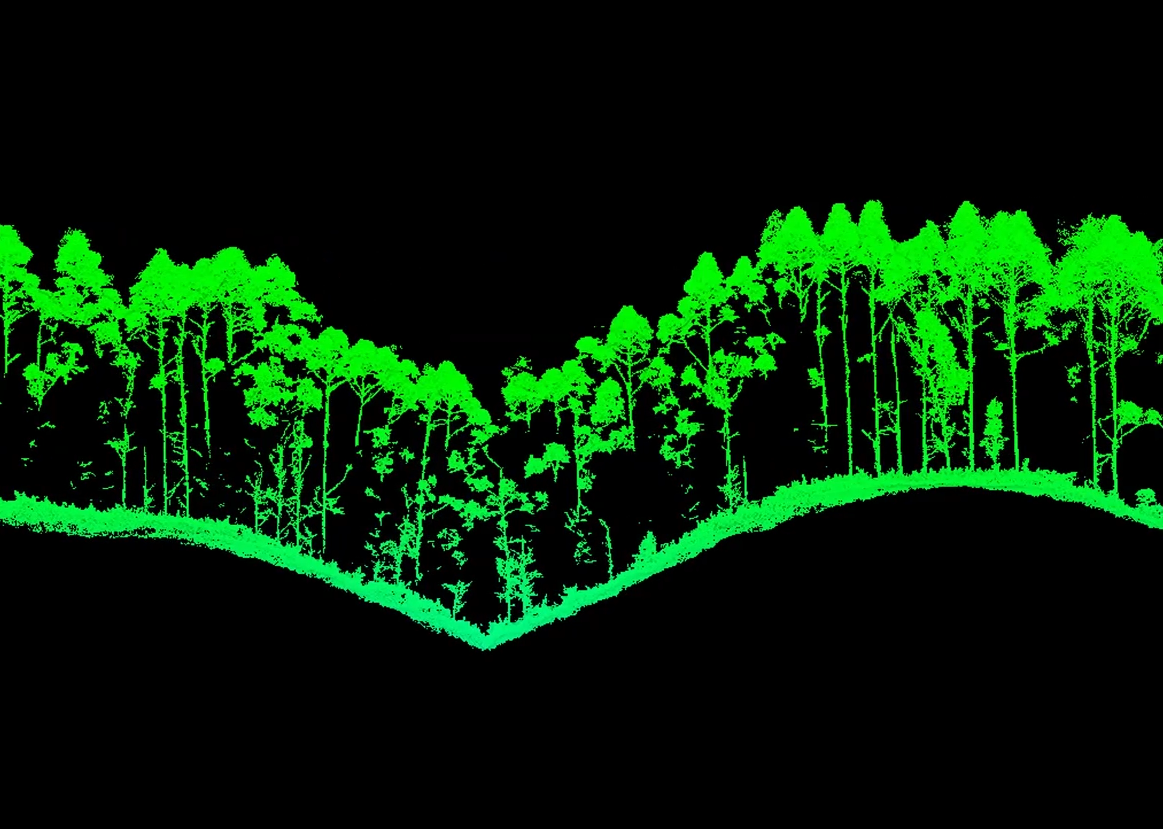 LiDAR scan revealing terrain and vegetation beneath forest canopy.