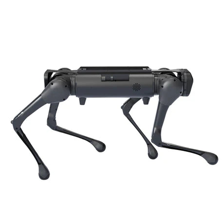 Aliengo - Remote Robotic