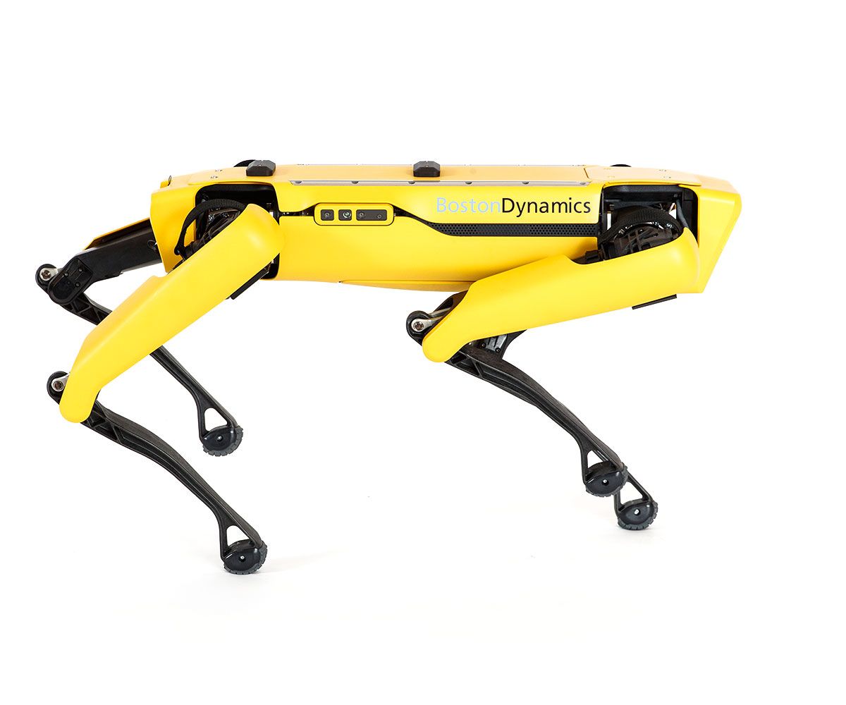 Spot - Remote Robotic