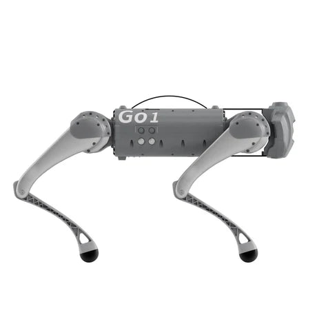 Go1 - Remote Robotic